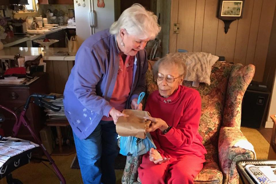 Meals on Wheels serving woman in home