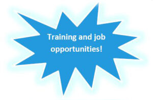 star with words training and job oppertunities